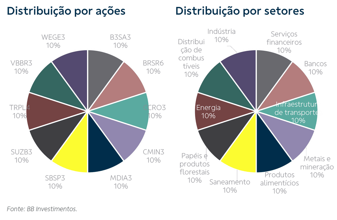 gráfico em círculo multicolorido sobre a distribuição por ações e por setores