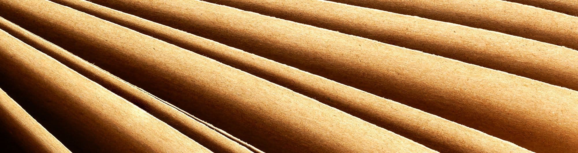 Banner do setor Papel e Celulose