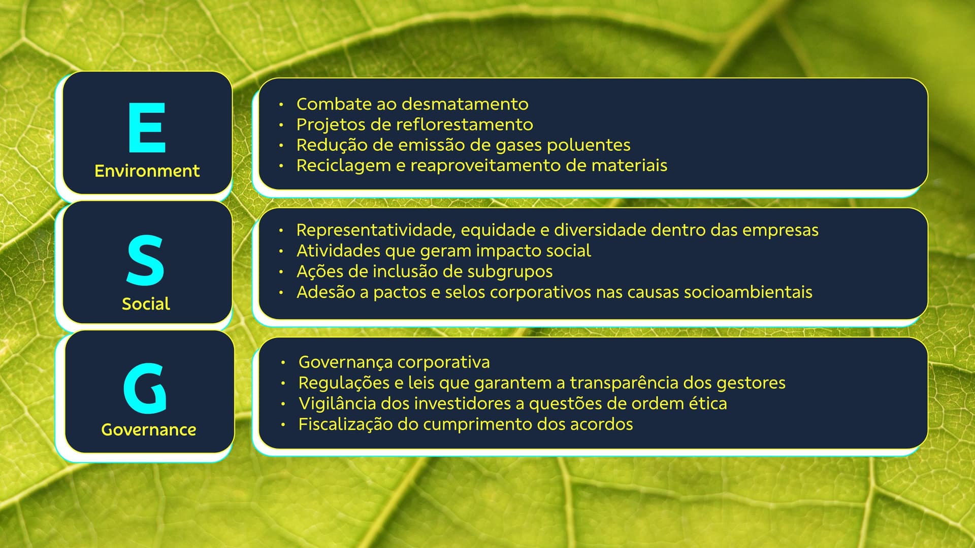 Infrográfico sobre práticas ESG
