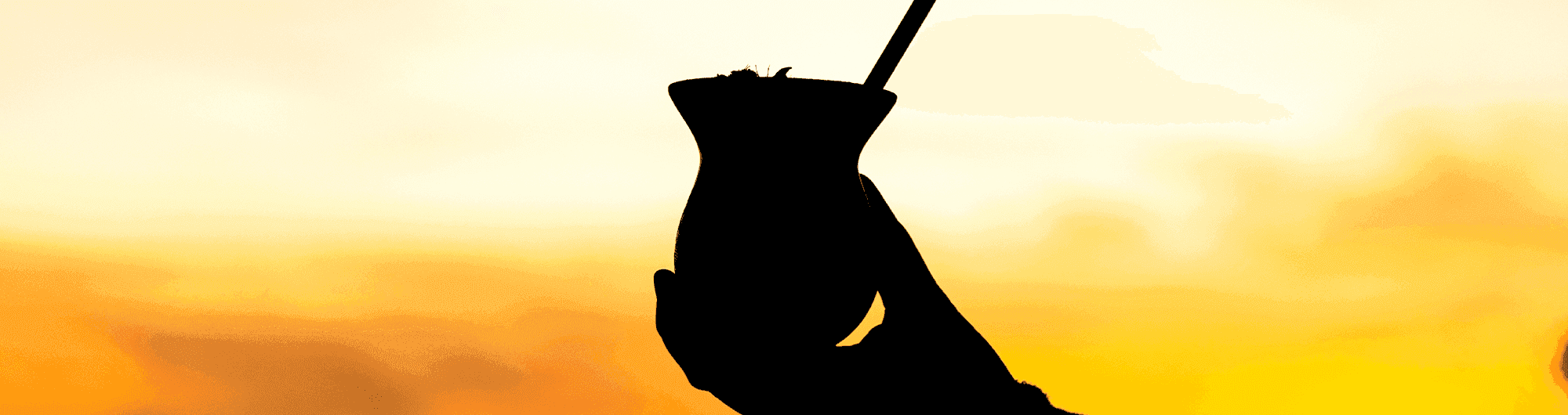 chimarrão bebida do sul 