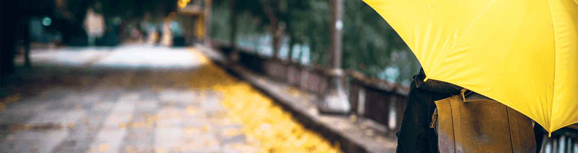 pessoa segurando guarda-chuva em amarelo 