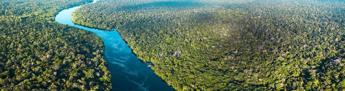 vista superior rio amazonas com vegetação 