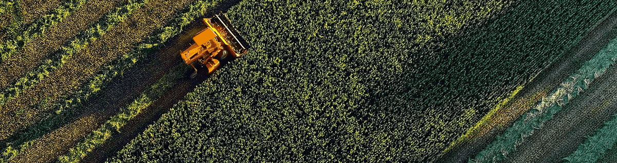 trator em campo de plantação 