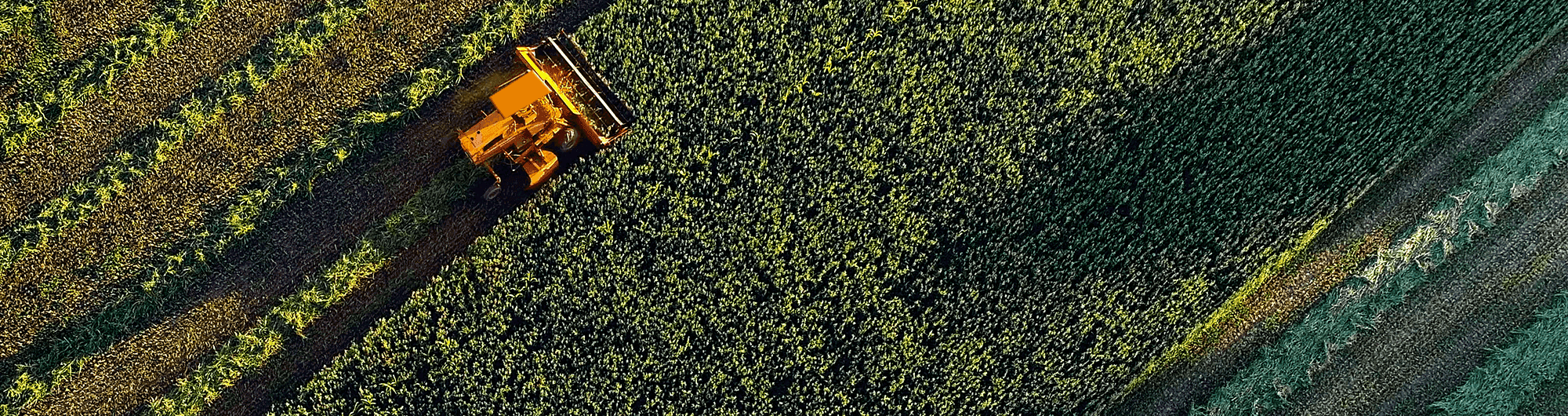 trator em campo de plantação 