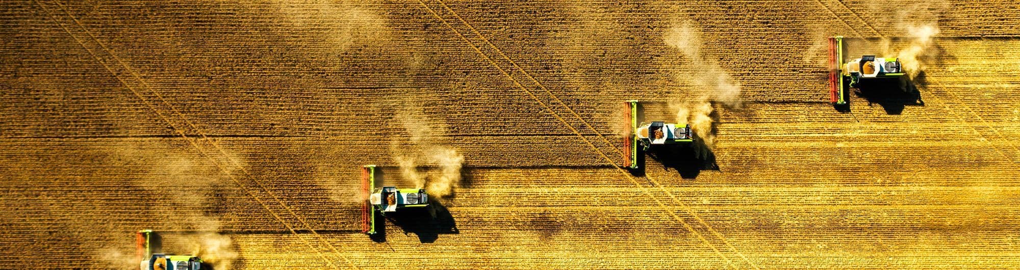 terra agro solo arado 