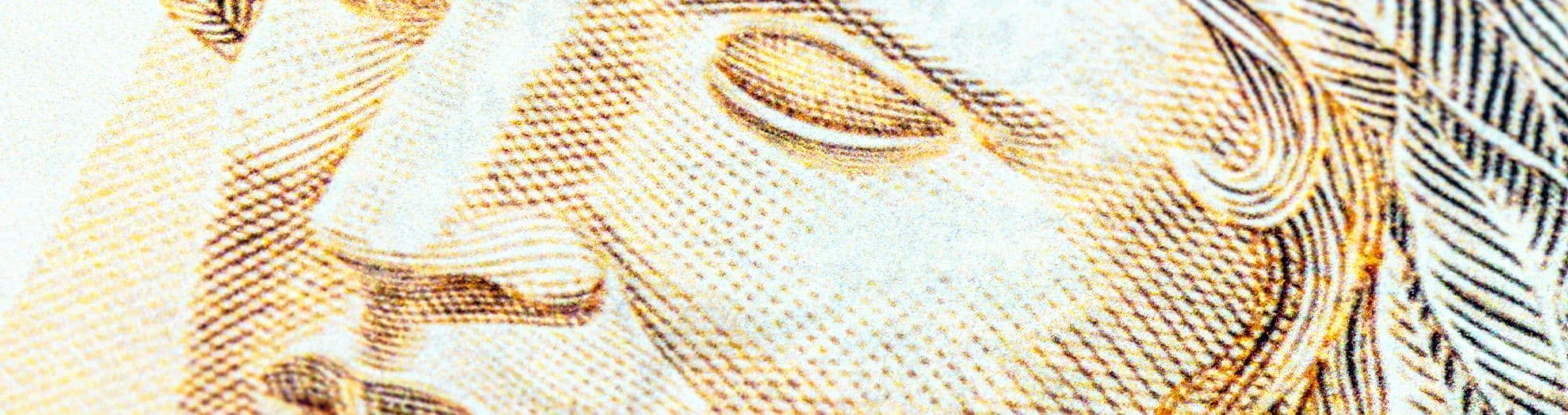 cédula de real detalhada 