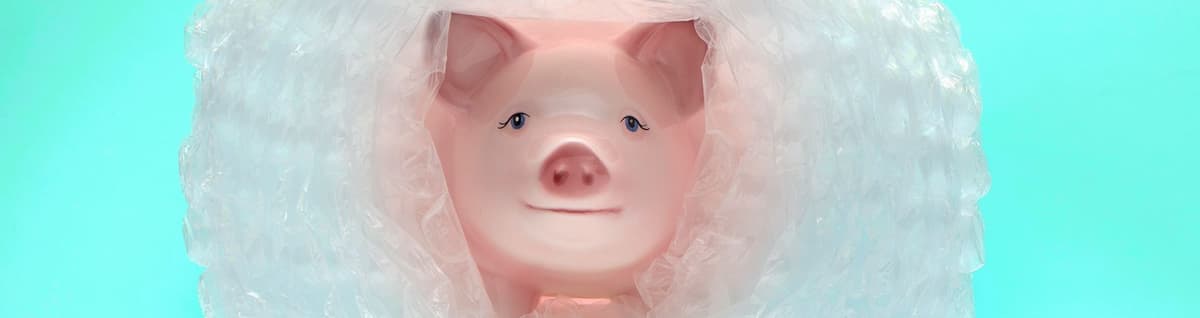 figura de porco envolvida em plástico bolha