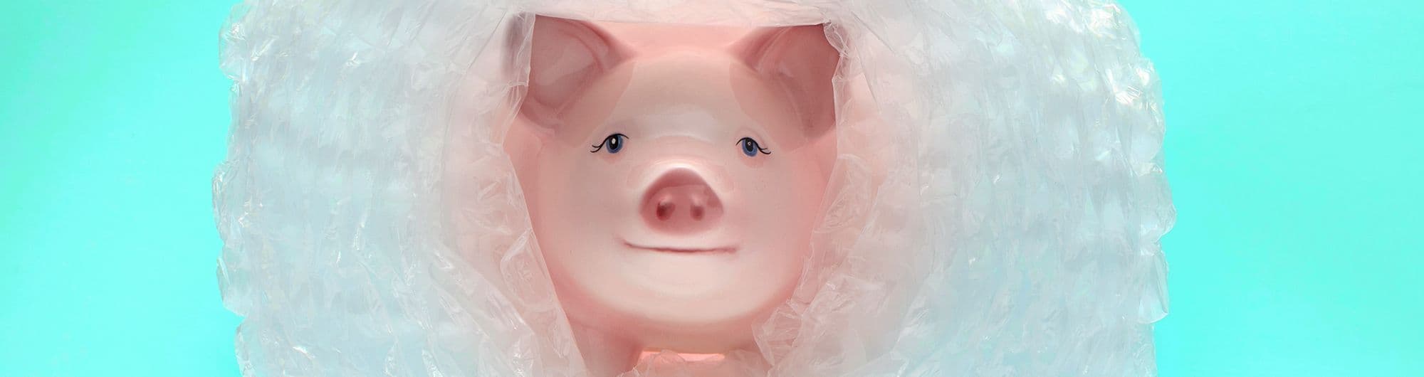 figura de porco envolvida em plástico bolha
