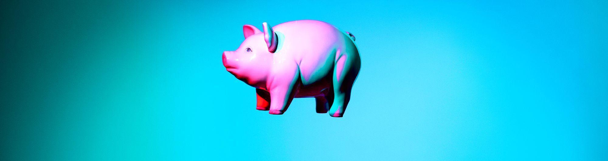 figura de porco em miniatura sob mão 