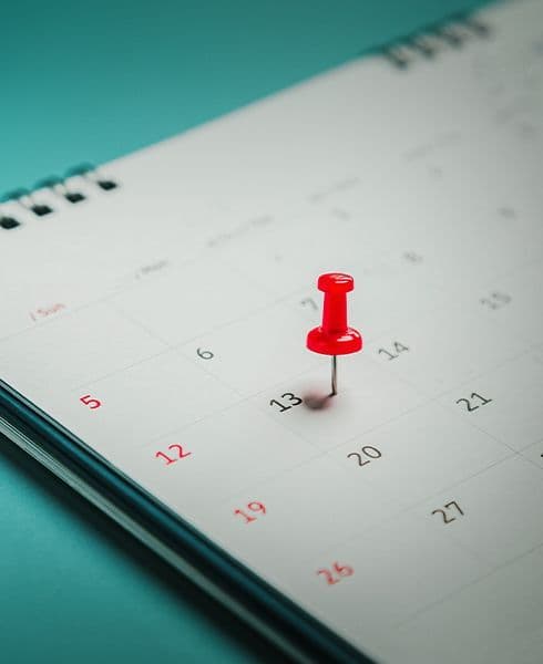 calendário marcado por alfinete em cor vermelha