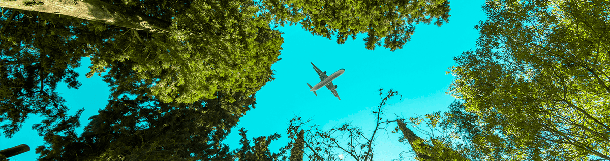 vista de avião sob o céu azul 