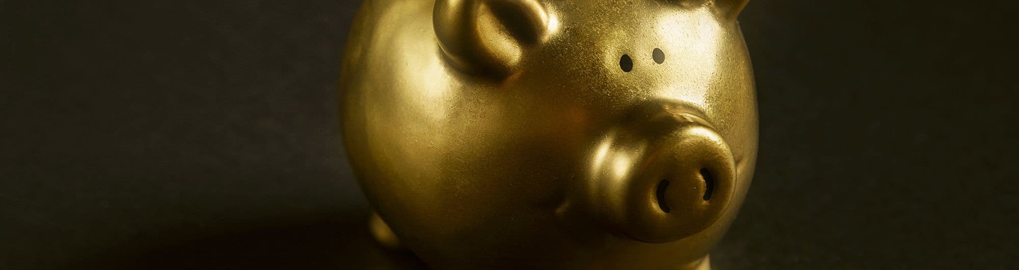 figura de porco confrinho em dourado