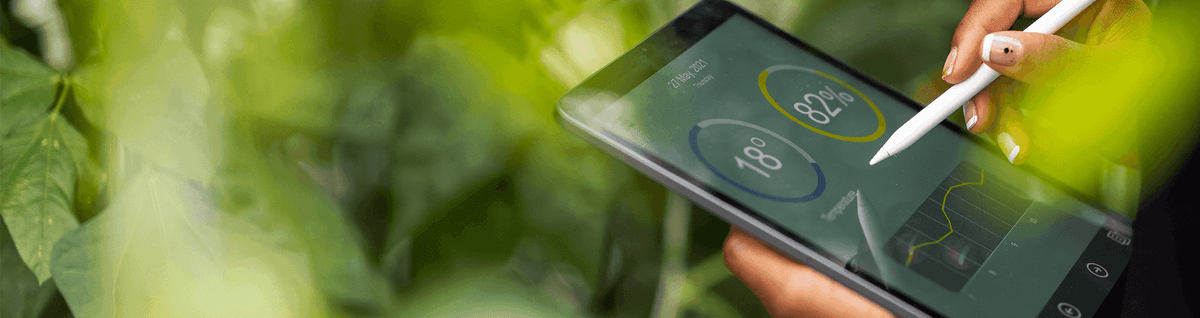 pessoa usando tablet com gráficos em fundo verde com plantas