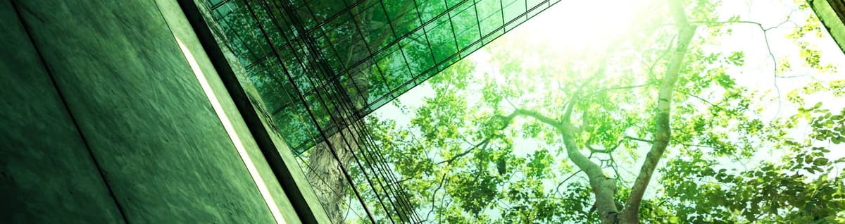 imagem superior de natureza em verde