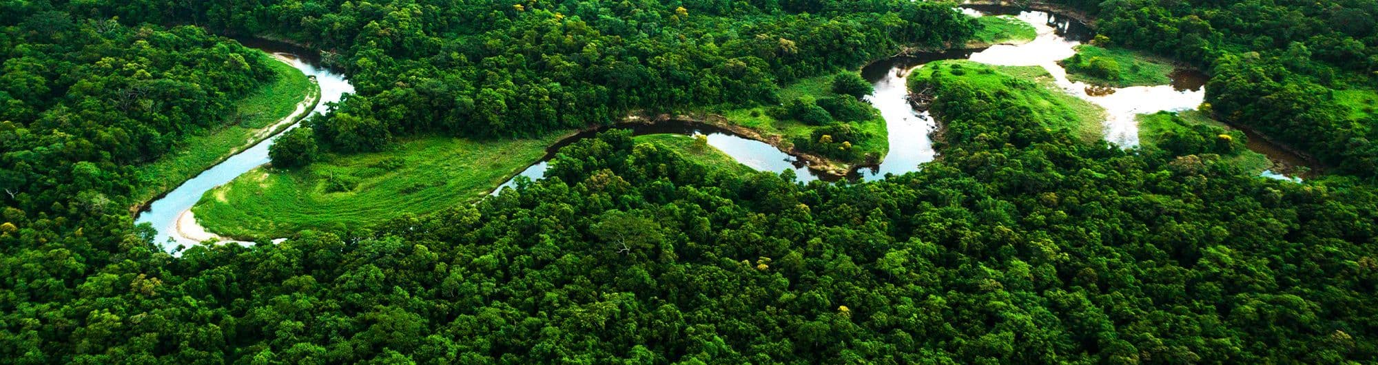 rio amazonas sustentabilidade natureza