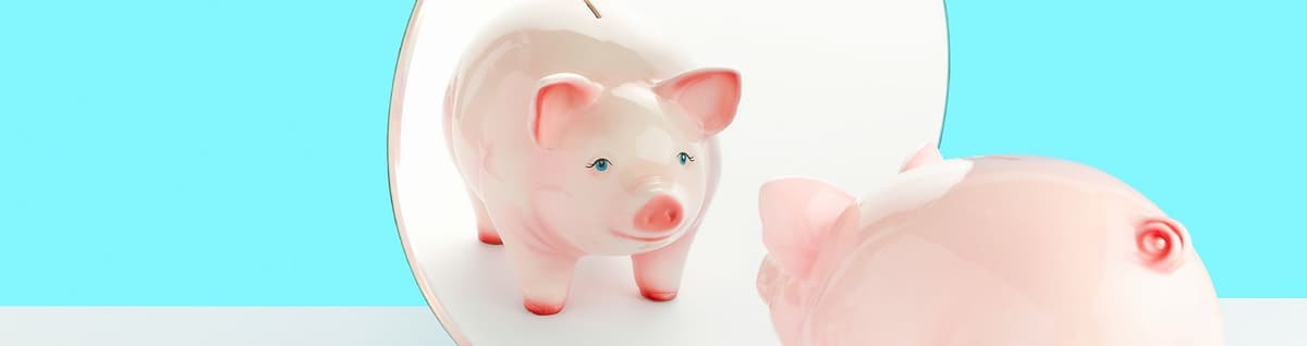 figura de porco em frente espelho e fundo azul