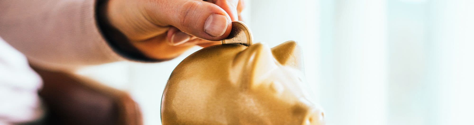 figura de porco dourado recebendo moedas em ouro