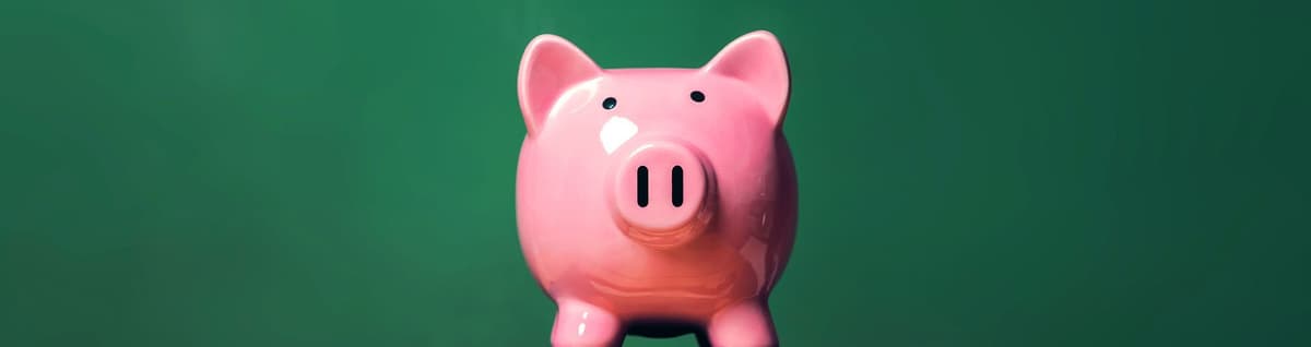 figura de porco rosa sobre pilha de livros