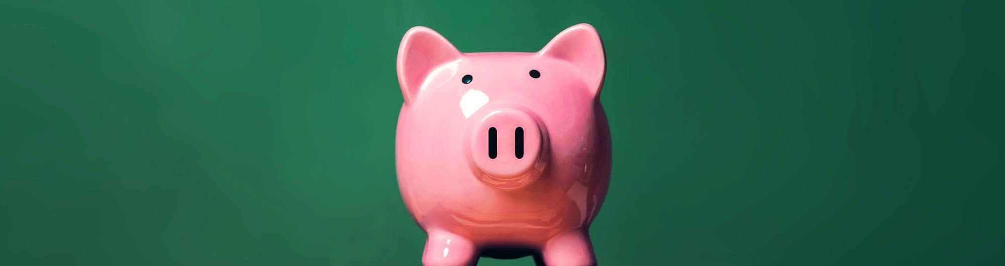 figura de porco rosa sobre pilha de livros