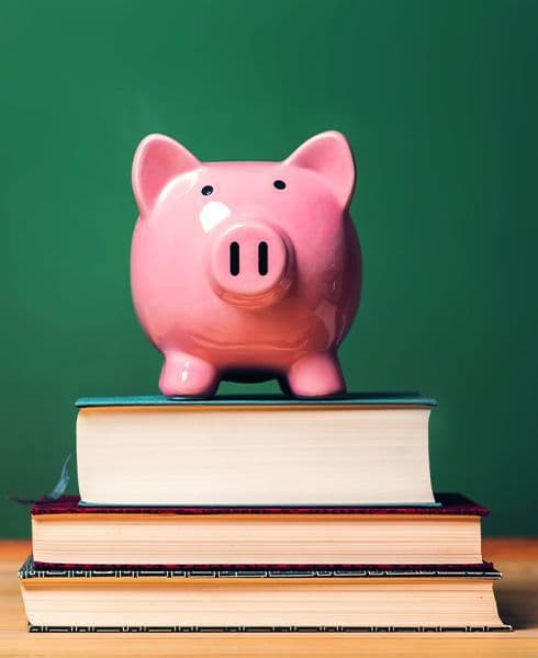 figura de porco rosa sobre pilha de livros