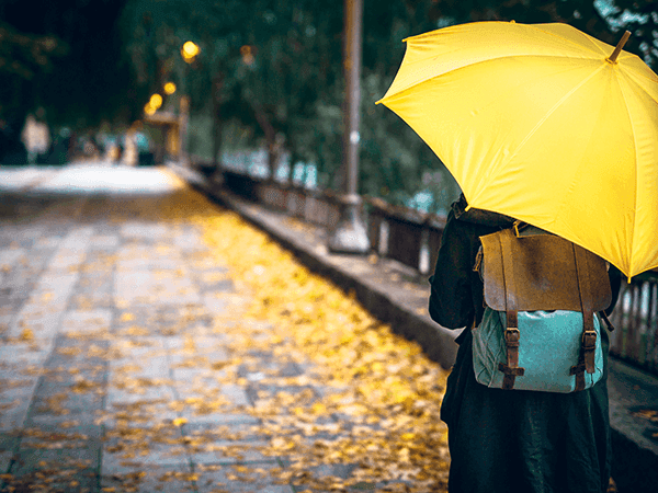 pessoa segurando guarda-chuva em amarelo 