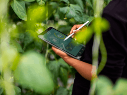 pessoa usando tablet com gráficos em fundo verde com plantas 