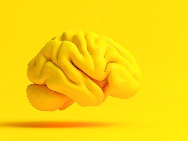 representação de cérebro em amarelo sob fundo amarelo