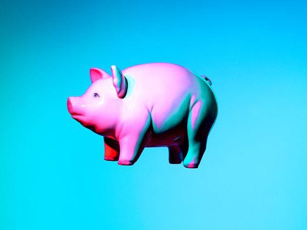figura de porco em miniatura sob mão 